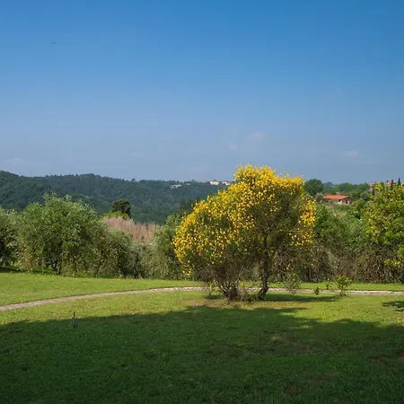 Apartment Typical Tuscan With Garden And Pool